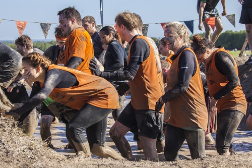 The Unexpected Consequences of Team Building