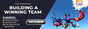 CTA banner with skydivers image and words that say BUILD A WINNING TEAM