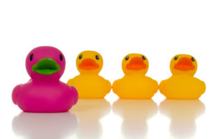 4 rubber ducks with one of them being purple