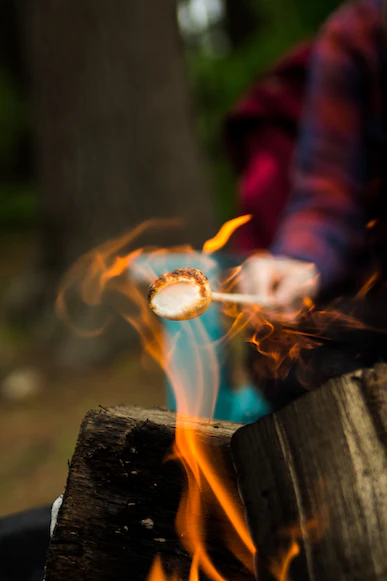 Marshmallow on a stick over a fire
