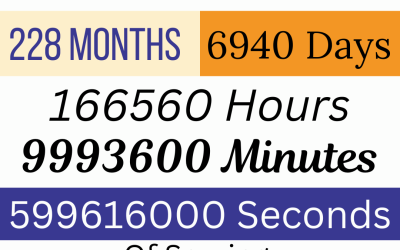 19 Years of Vida Aventura