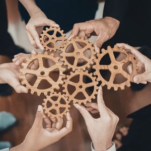 Your First Team Isn't Your Department